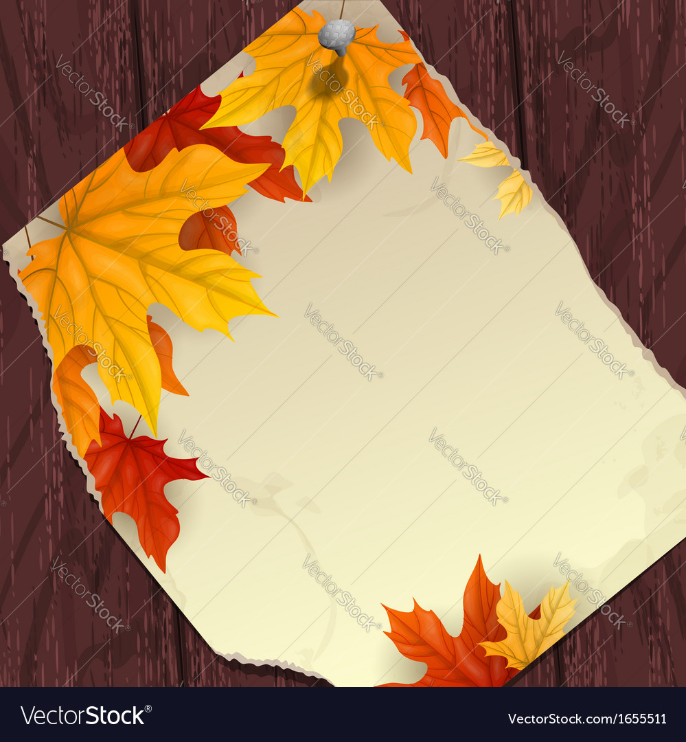 Autumn background with leaves