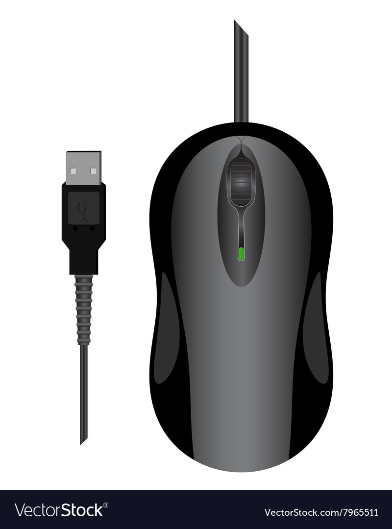 Mouse computer usb connection