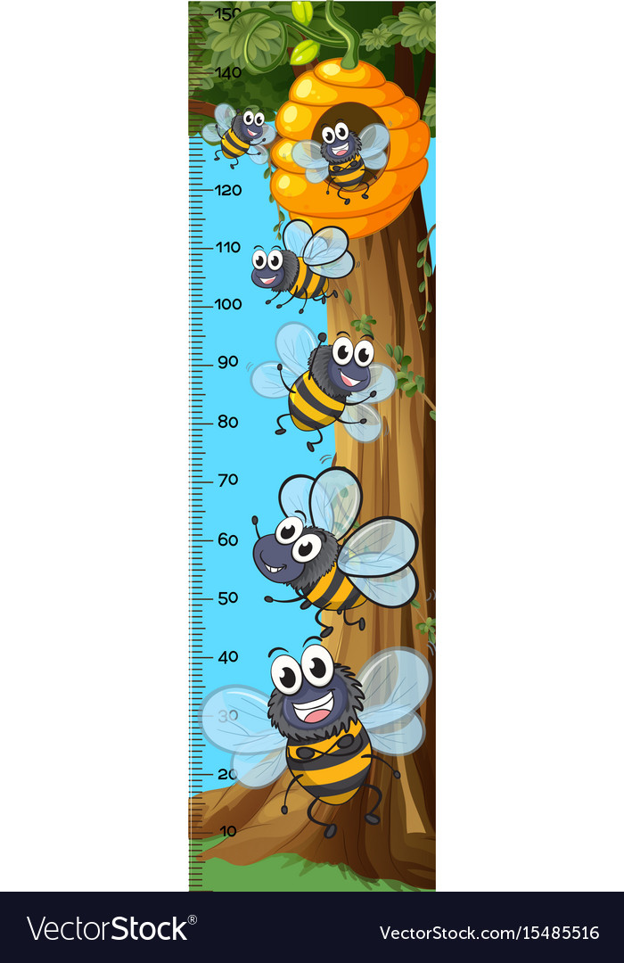 Height Measurement Chart