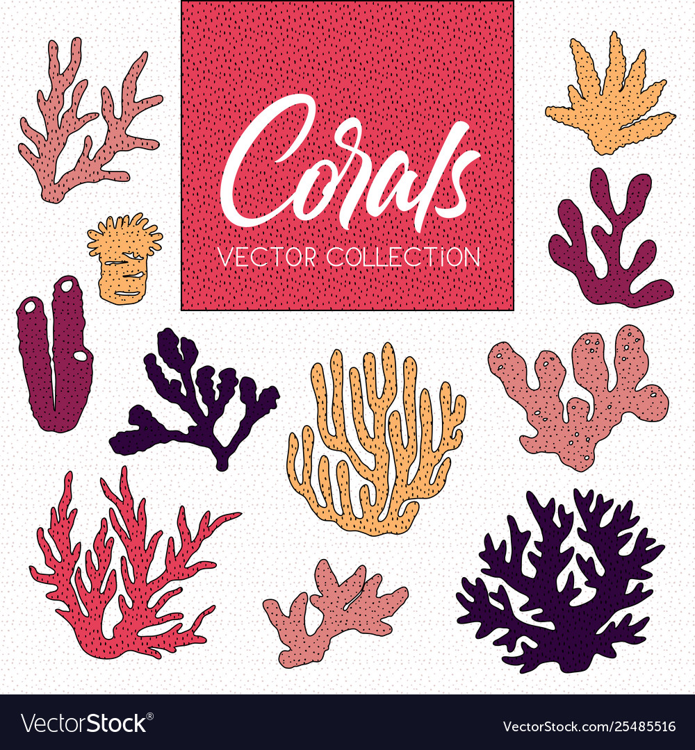 Set isolated colorful corals and algae Royalty Free Vector