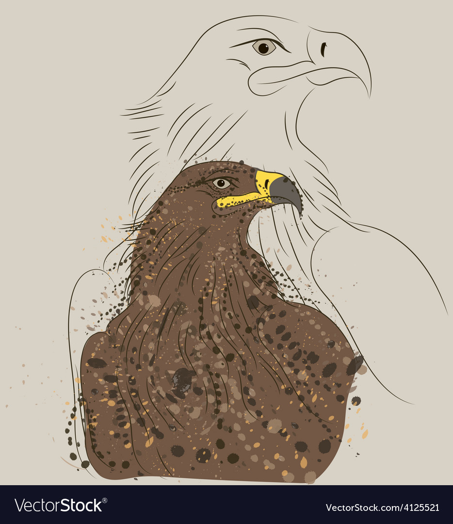 Brown eagle Royalty Free Vector Image - VectorStock
