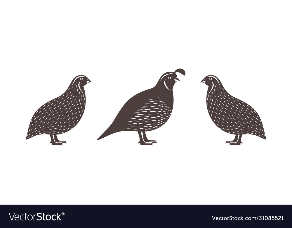 Quail Silhouette Clip Art