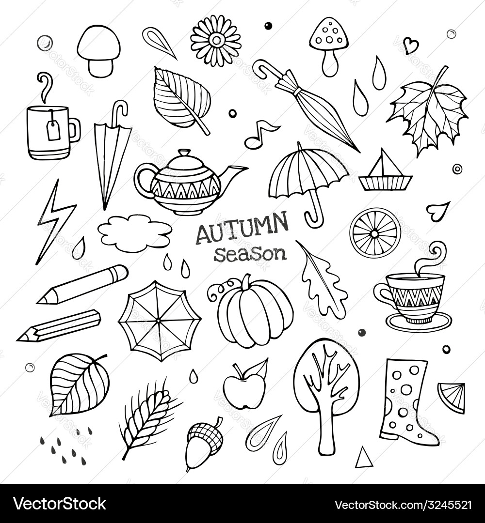 Set different hand drawn autumn elements Vector Image