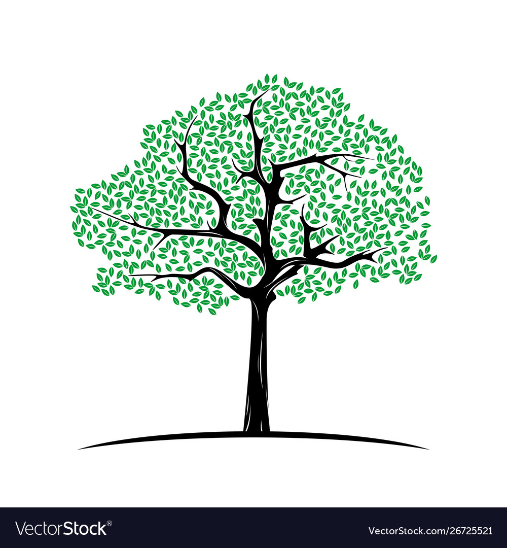 Tree life logo design inspiration template