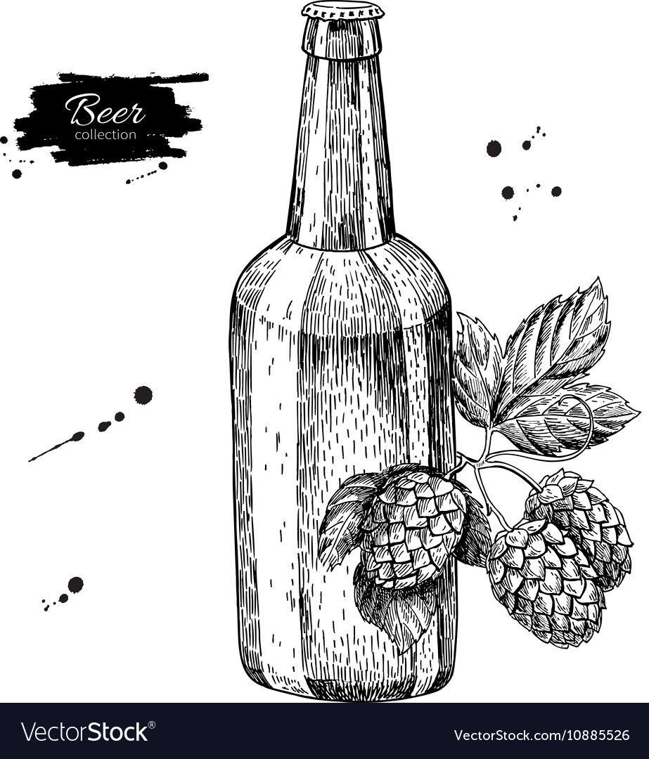 beer bottle drawing