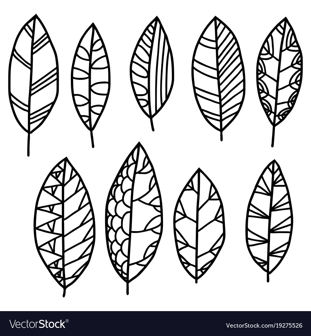 Decorative leaves Royalty Free Vector Image - VectorStock