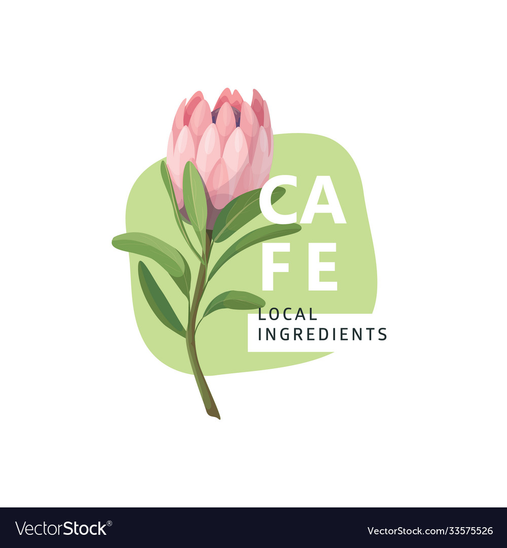 Protea flower logo design badge