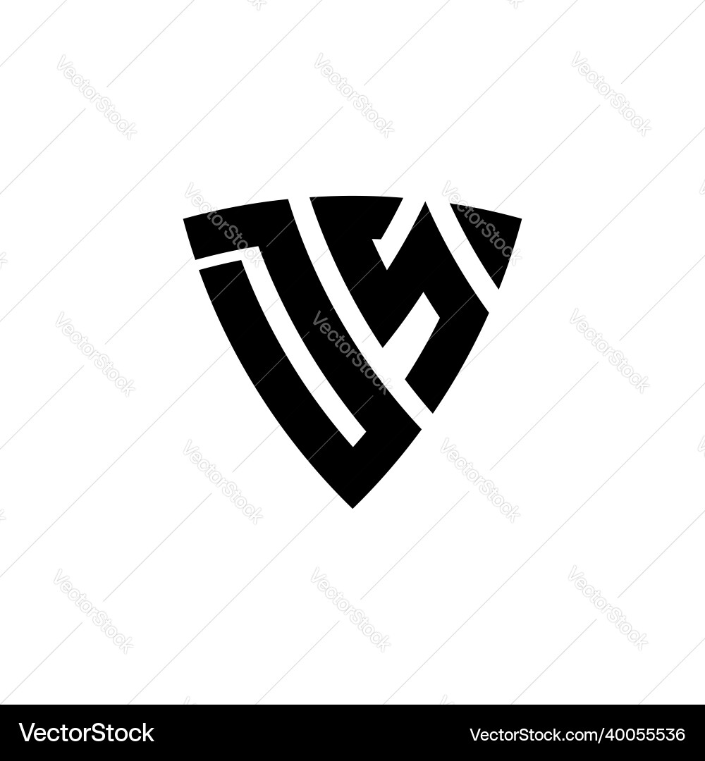 Ds logo monogram triangle shield style Royalty Free Vector