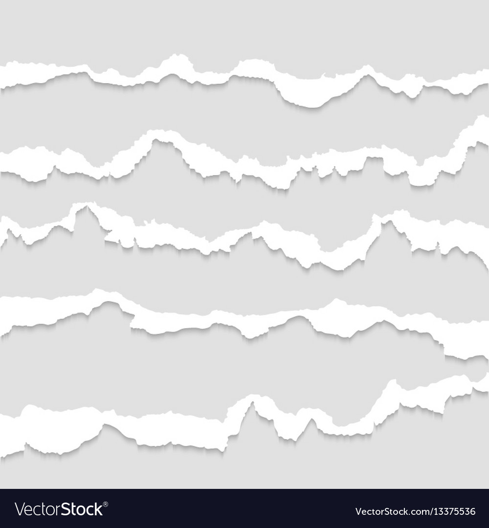 torn paper ripped papers edge set royalty free vector image vectorstock