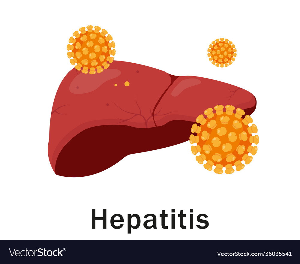 Human liver and hepetitis virus