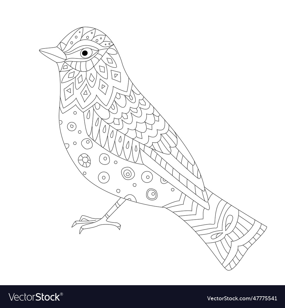 Pretty bird for your coloring page