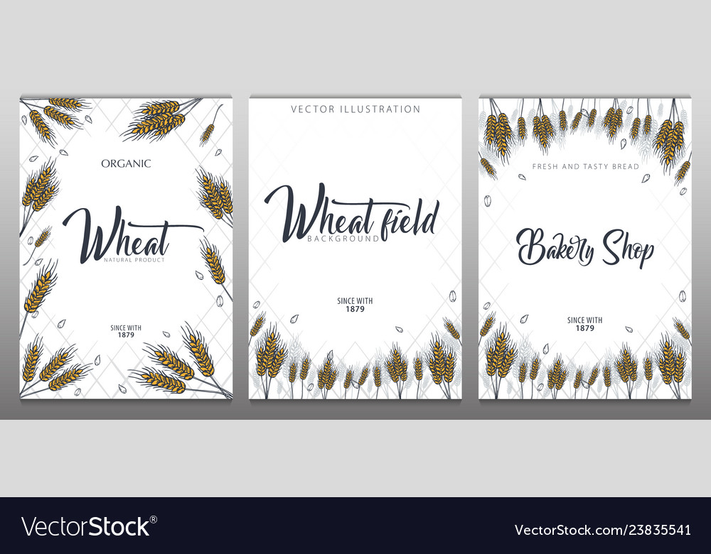 Set of bakery backgrounds with wheats linear vector image Set of bakery backgrounds with wheats linear