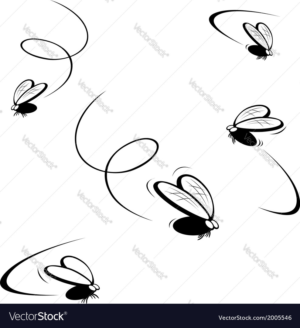 Cartoon Flies Royalty Free Vector Image VectorStock
