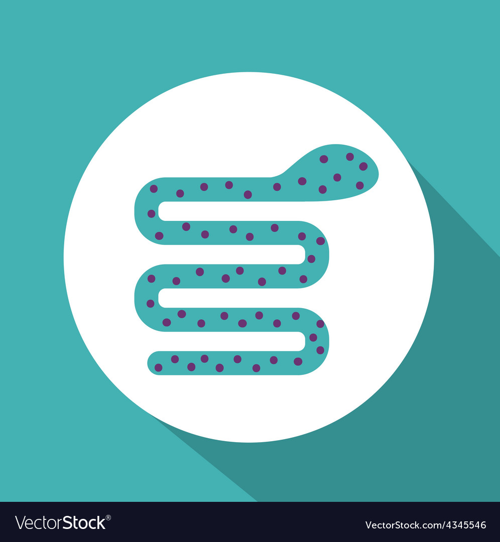 Computer worm design