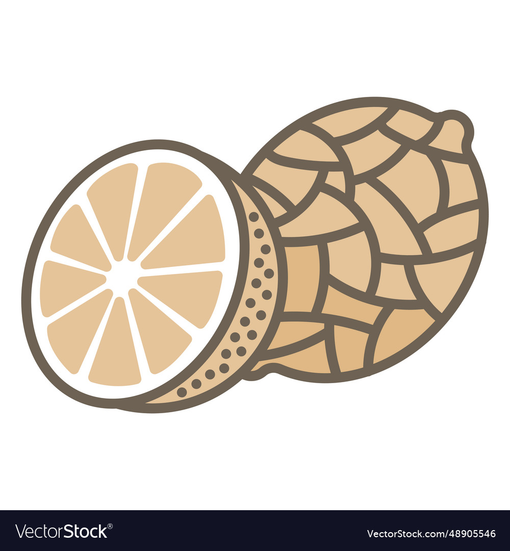 Lemon fruit geometric color stroke