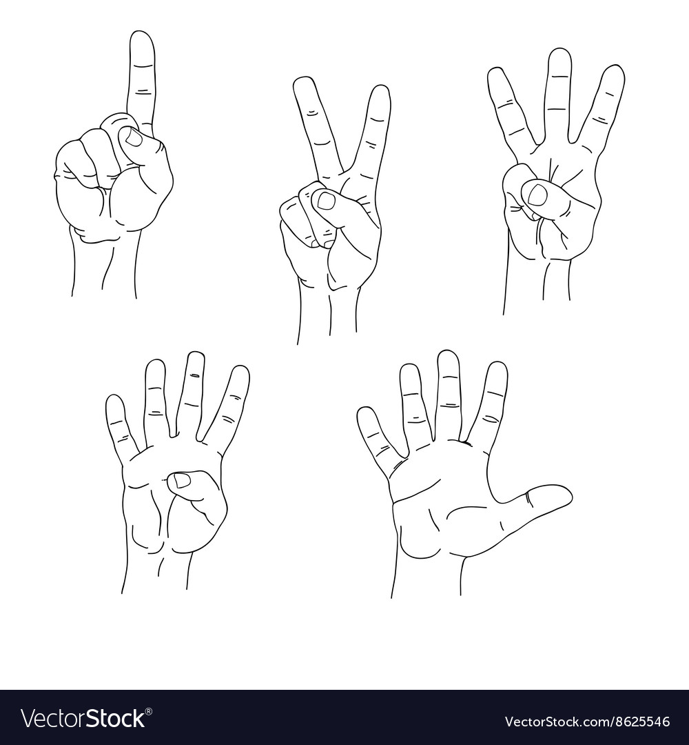 Set of hands counting one to five inner side Vector Image