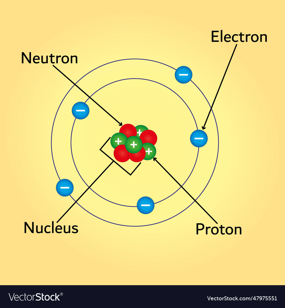 Components of atom diagram Royalty Free Vector Image