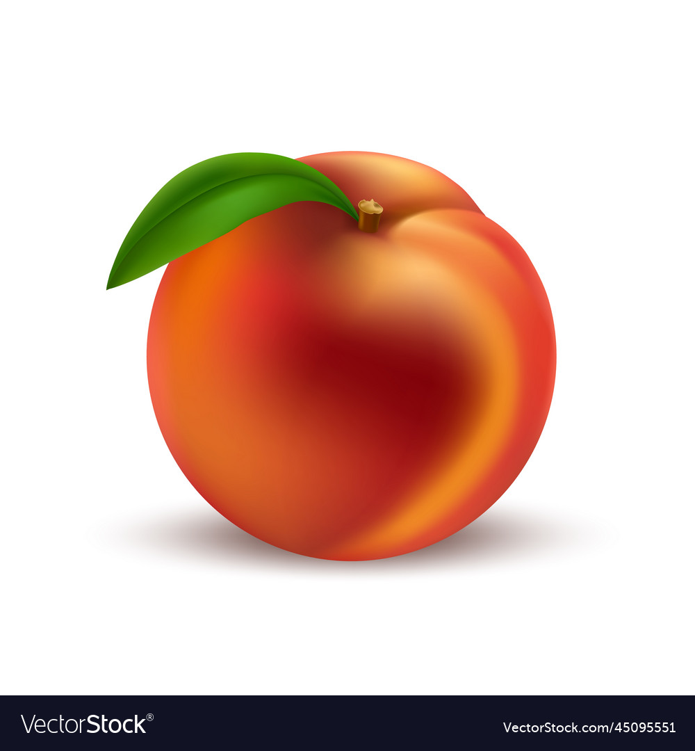 Whole realistic peach Royalty Free Vector Image