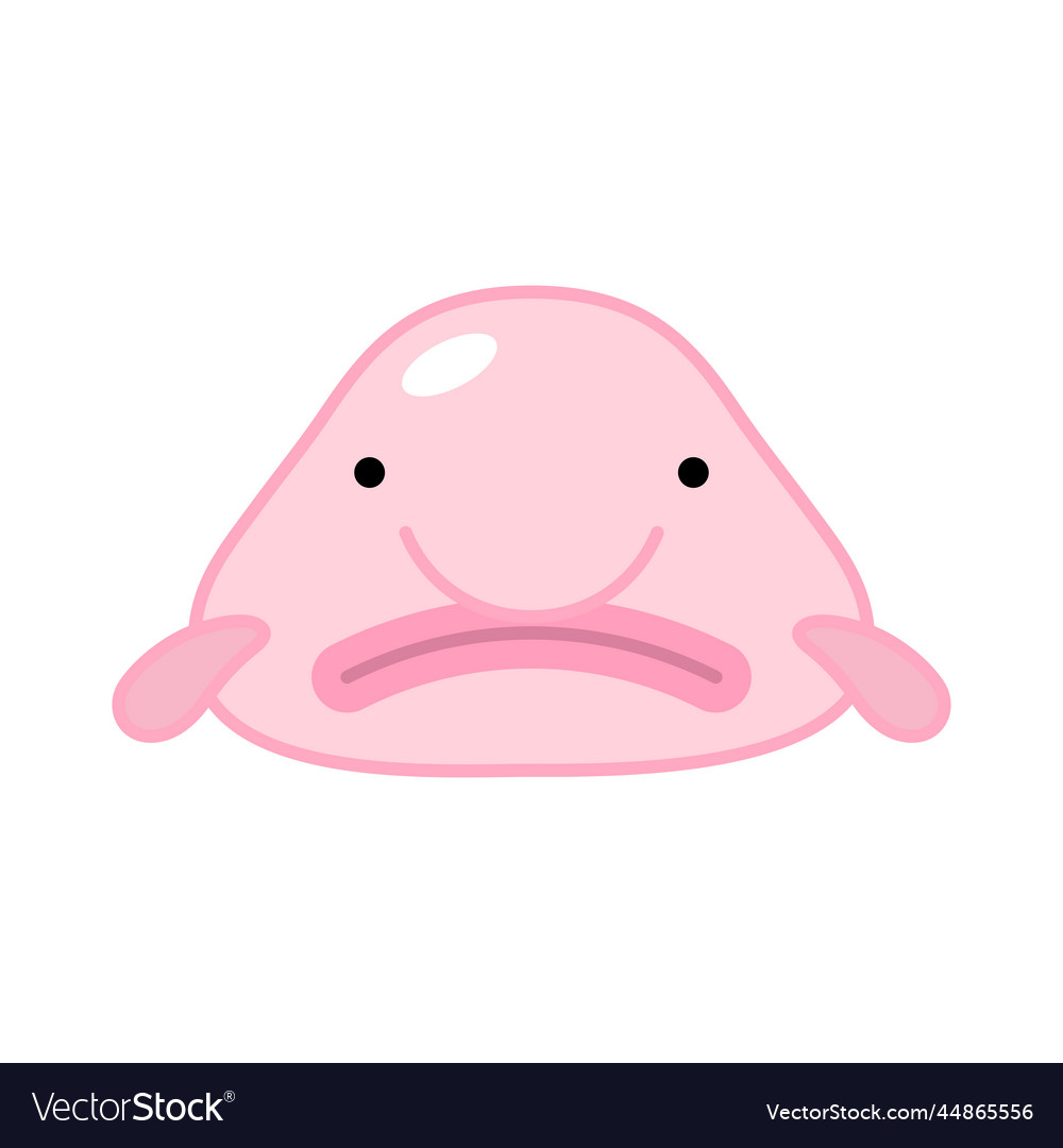 Cute blob fish