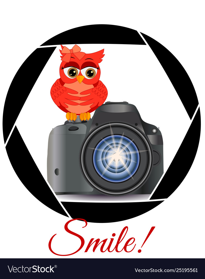 Beautiful cartoon red owl sits on button