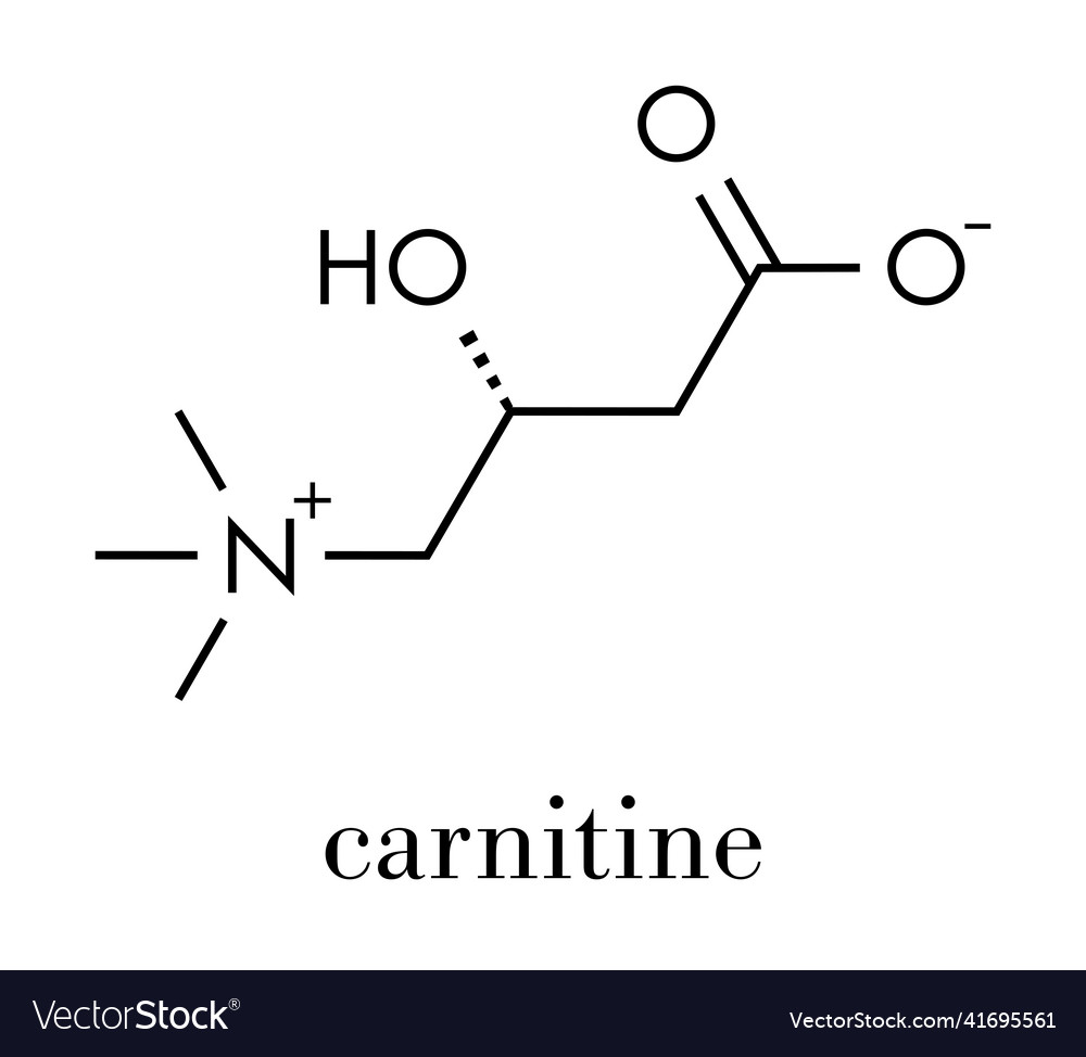 Carnitine food supplement molecule skeletal