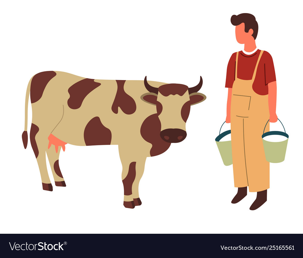 Farmer and cow farming and livestock animal Vector Image