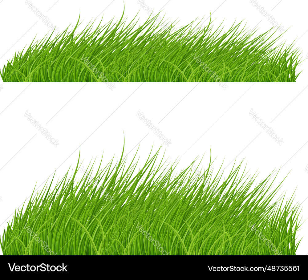 Green grass Royalty Free Vector Image - VectorStock