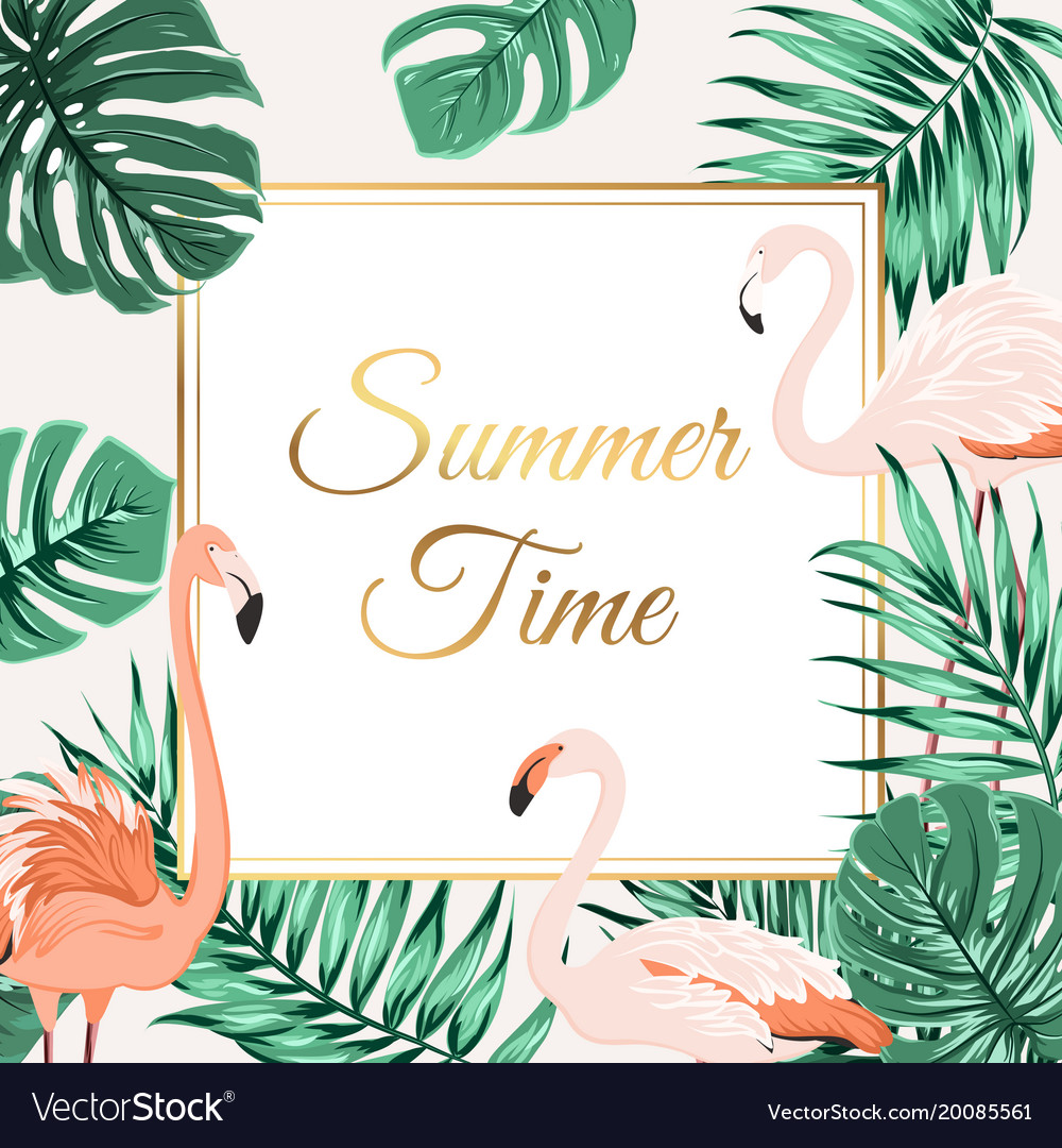 Tropical border frame banner leaves flamingo birds