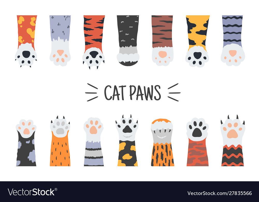 Cat paws hand drawn funny puppies and kittens vector image Cat paws hand drawn funny puppies and kittens