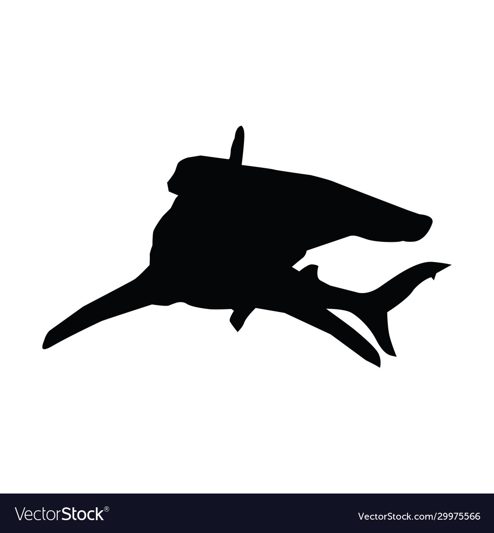 Hammerhead shark silhouette