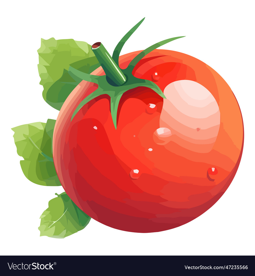 Juicy tomato salad a gourmet meal