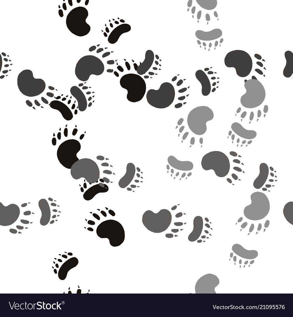 Bear Paw Footprint Pattern