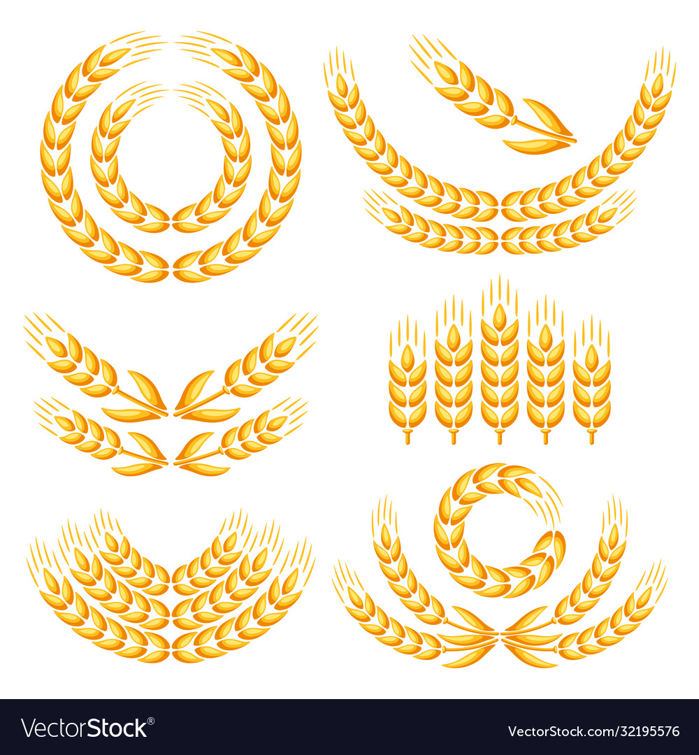 Design elements with wheat vector image Design elements with wheat