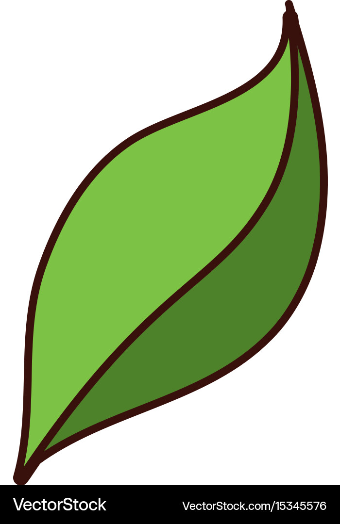 Green leaf icon Royalty Free Vector Image - VectorStock