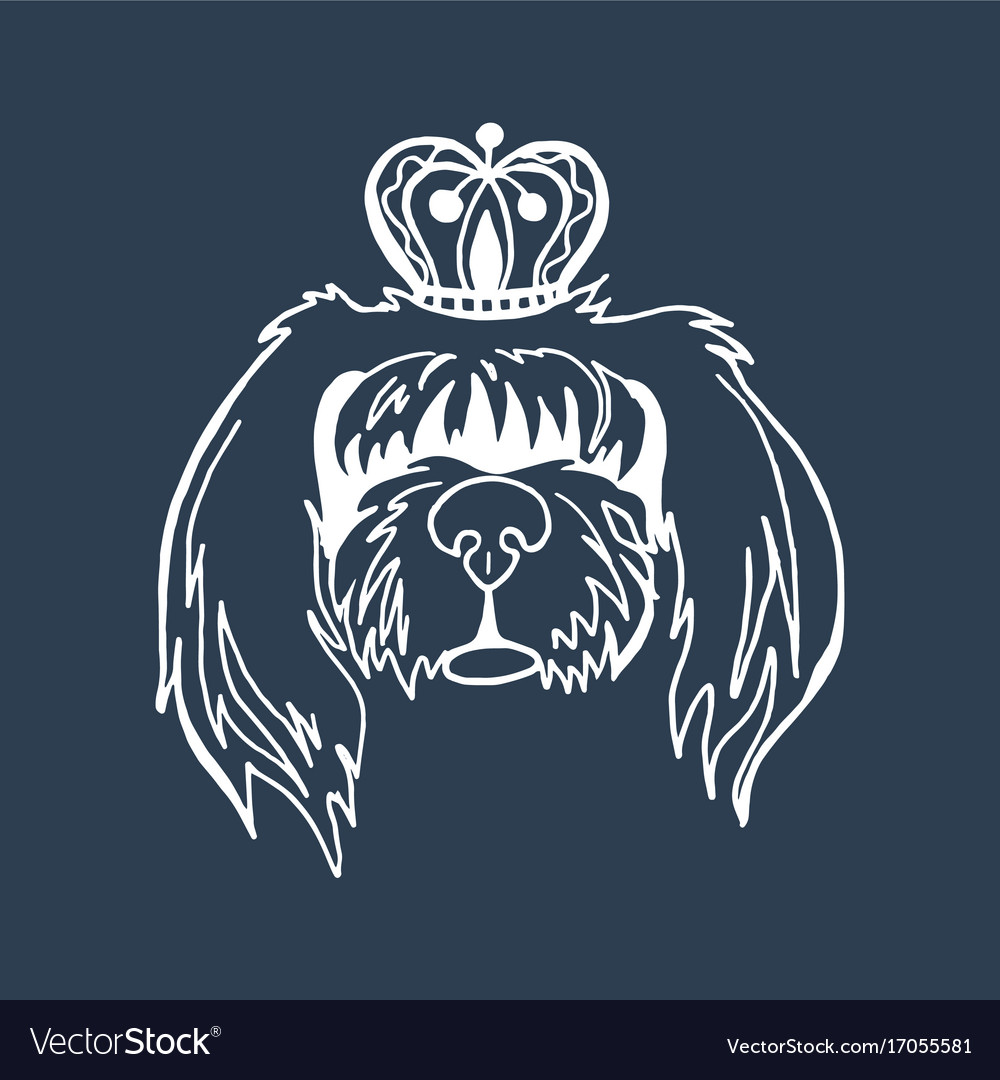 Long Haired Dog In The Crown Royalty Free Vector Image