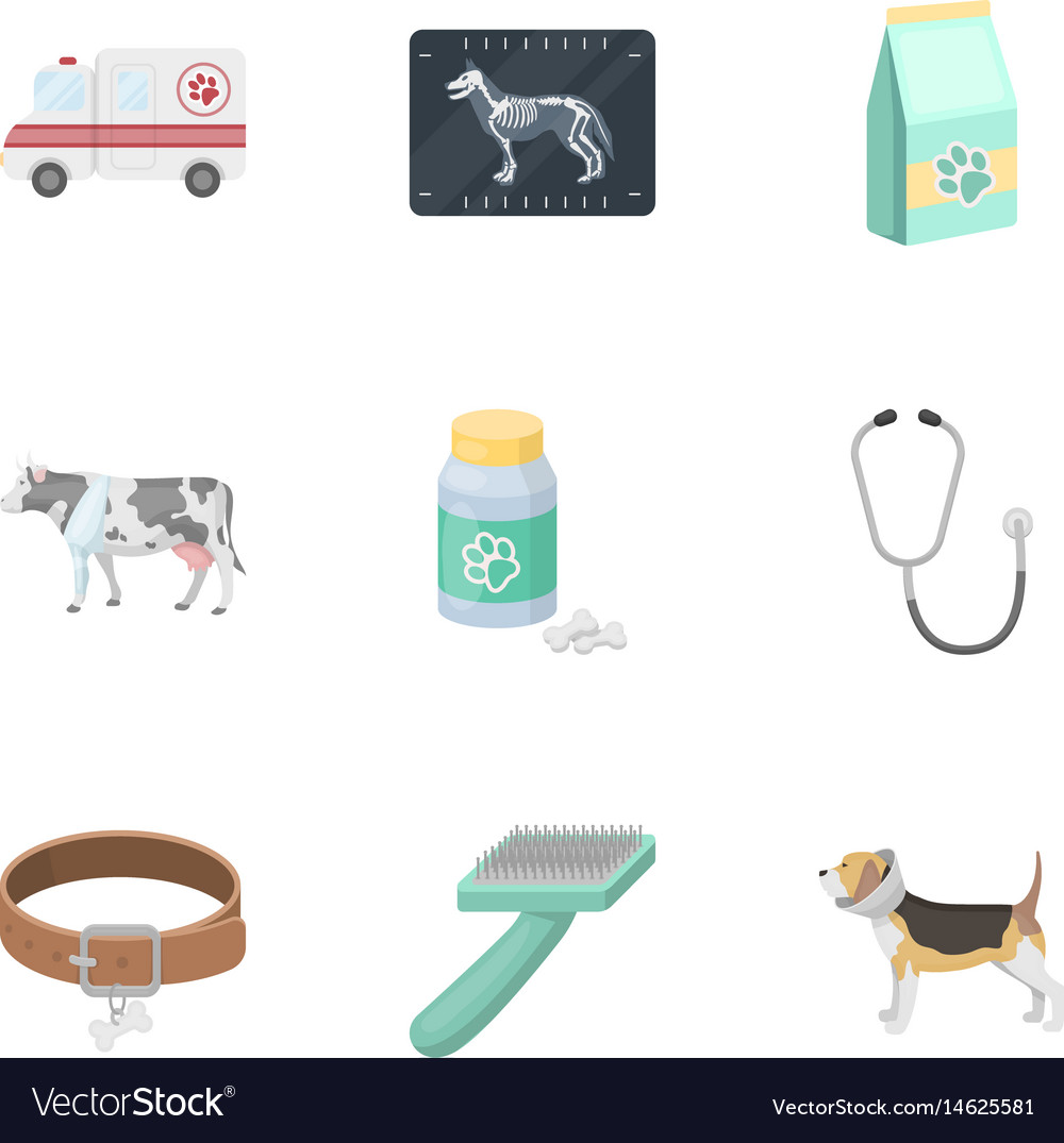 Vet clinic treatment of sick animals hospital Vector Image Vet clinic treatment of sick animals hospital Vector Image