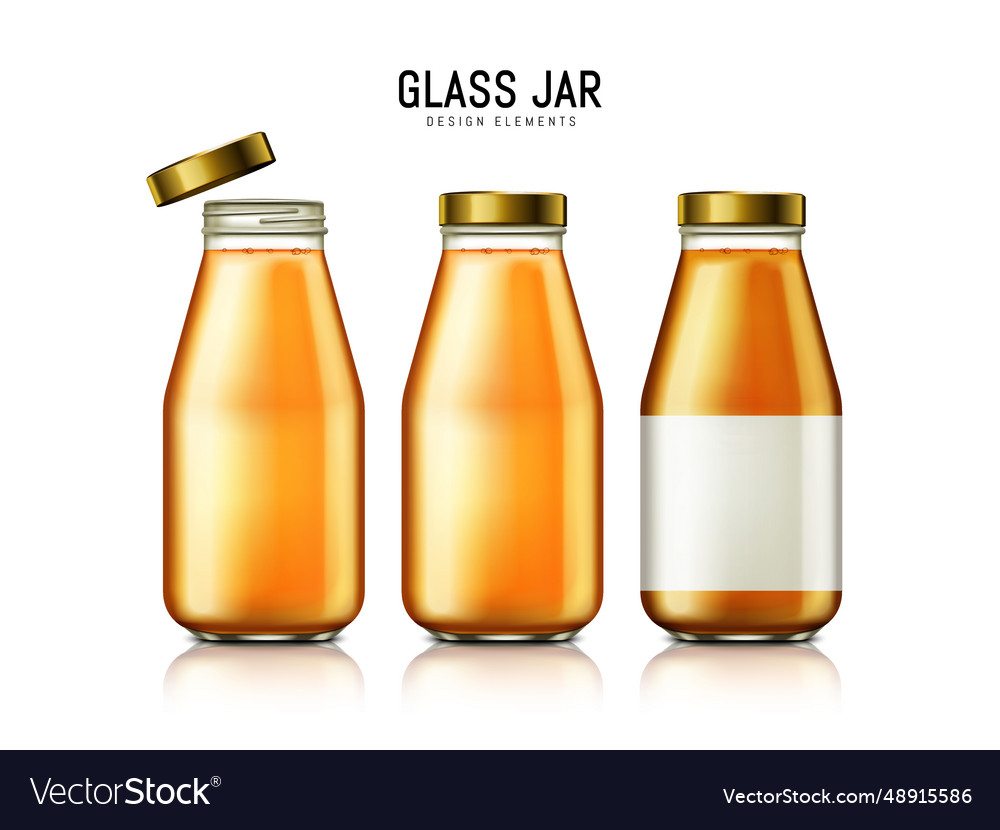 Bottled juice elements Royalty Free Vector Image