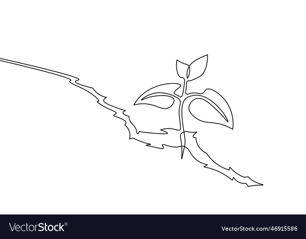 Continuous Line Sprout