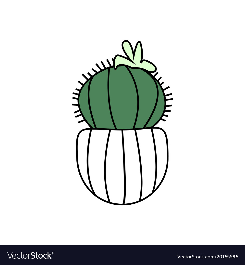 Cute cactus with flower in pot