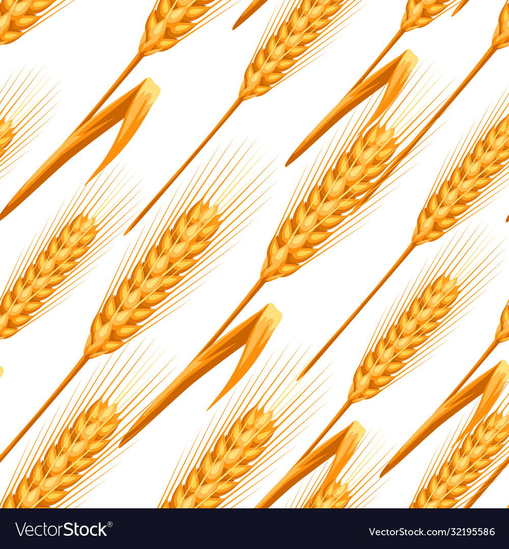 Seamless pattern with wheat vector image Seamless pattern with wheat