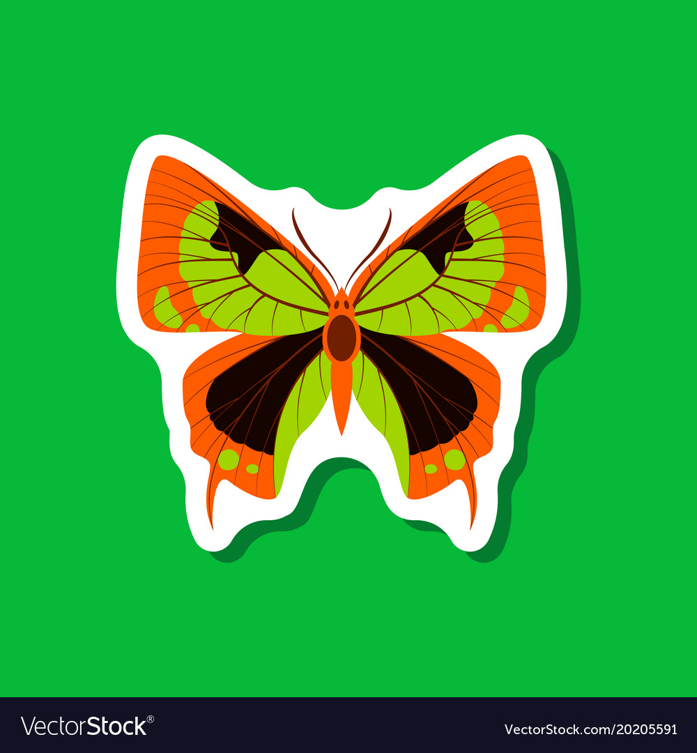 Butterfly paper sticker on stylish background