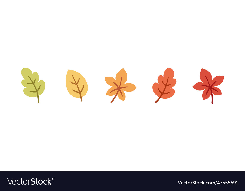 Cute autumn leaves set Royalty Free Vector Image