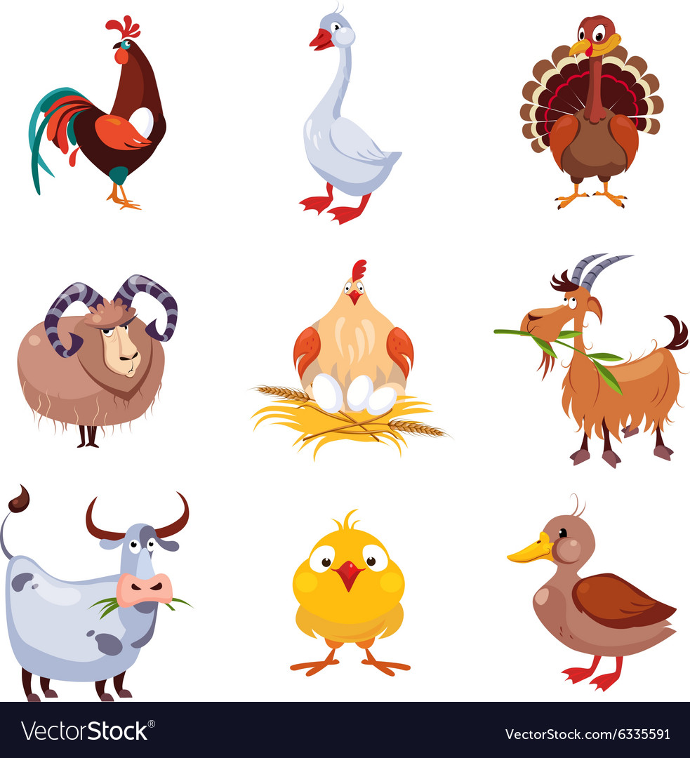 Farm Animals and Birds Set