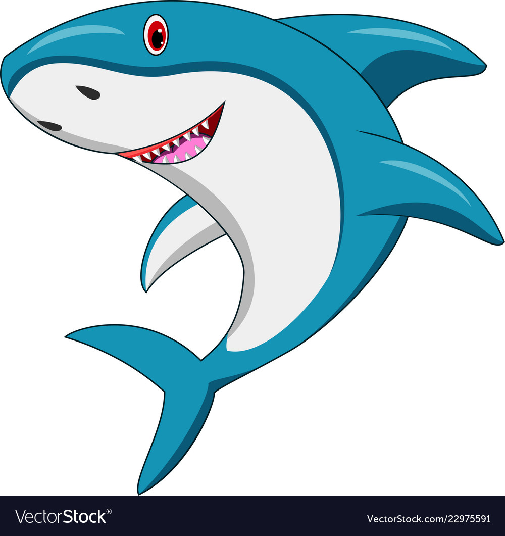 Shark Images Cartoon