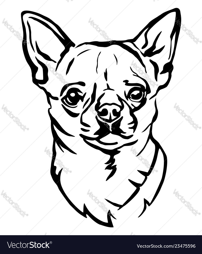 Decorative portrait of dog chihuahua Royalty Free Vector