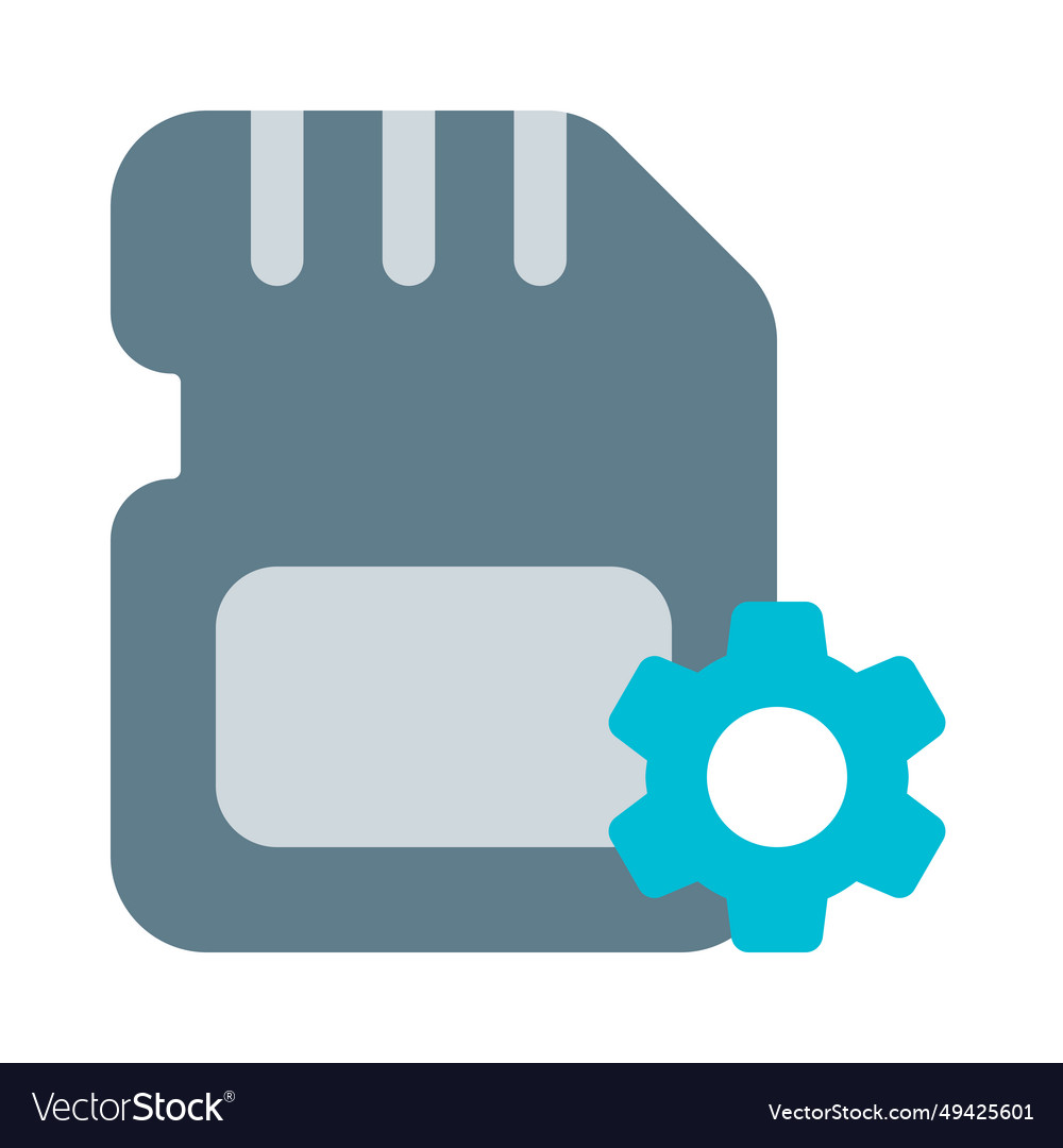 Adjust settings for sd card storage options Vector Image