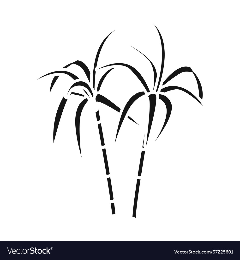 Design palm and cane sign web element