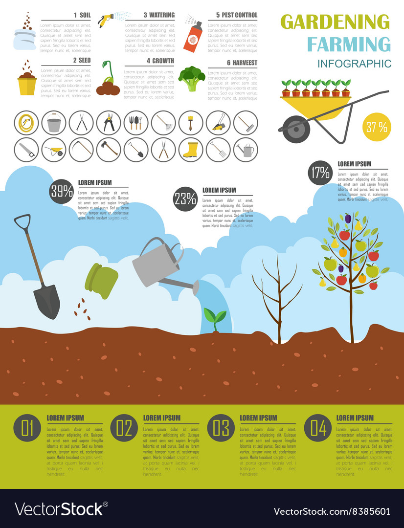 Gardening work farming infographic graphic