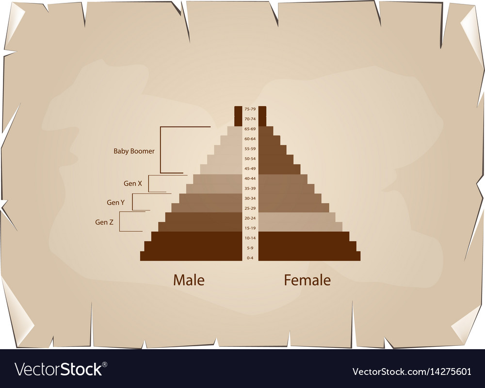 Population pyramids graphs with 4 generation