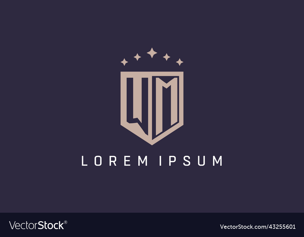 Wm initial shield logo icon geometric style design